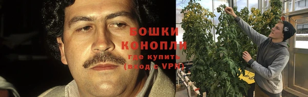 спиды Елабуга