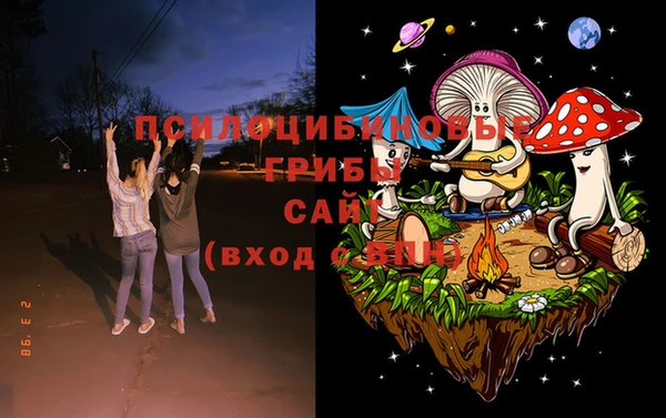 дмт Балахна