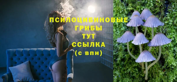 эйфоретик Баксан
