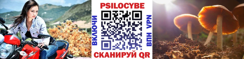 купить наркотики цена  Высоцк  Галлюциногенные грибы GOLDEN TEACHER 
